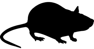 Rodent Removal Service icon